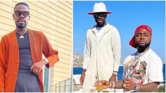 Lawyer wey no dey go court: Davido shades Prince who called him out after Zlatan gave his lawyer Rolex watch