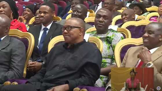 2023: Daga Ƙarshe, Kotu Zata Yanke Hukunci Kan Ƙarar da Peter Obi Ya Kalubalanci Zaɓen Tinubu