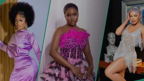 "Take the chill pill girls": BBNaija's Phyna claps back at IIebaye, Khosi, calls out show organisers