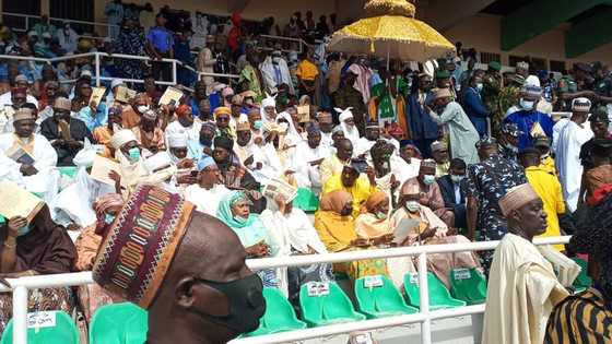 Photos show moment northern state stands still for Emir of Kano's coronation