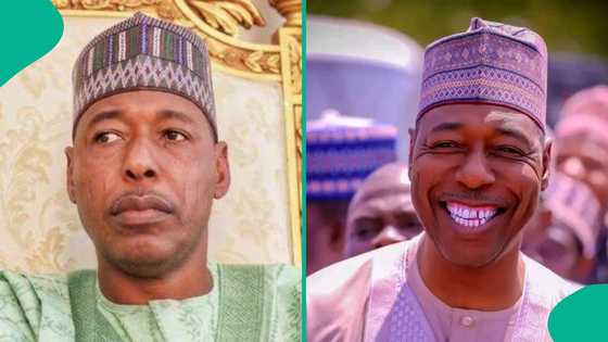 Breaking: APC's Zulum speaks on rumoured imminent defection to ADC coalition
