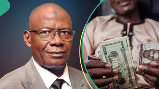 ABCON speaks on plans to help naira recovery as traders sell dollar at new exchange rate