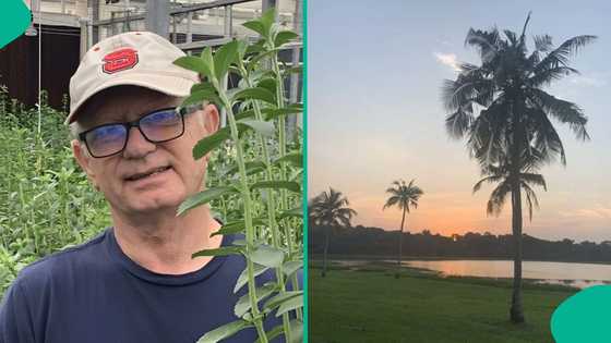 White man who visited Nigeria twice shares his interesting experiences in Ibadan