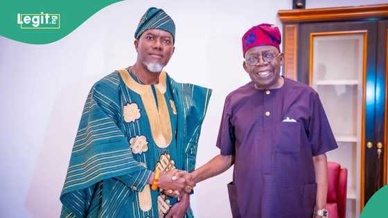 2027 election: 'Why Tinubu deserves re-election,' Reno Omokri speaks, gives reasons