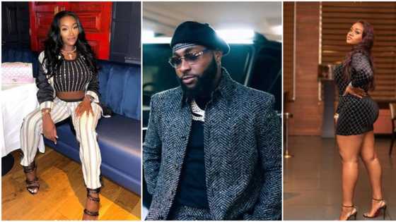 "Womanizer": Davido's pregnant side-chic, Anita Brown drops diss track brutal dragging singer, fans react