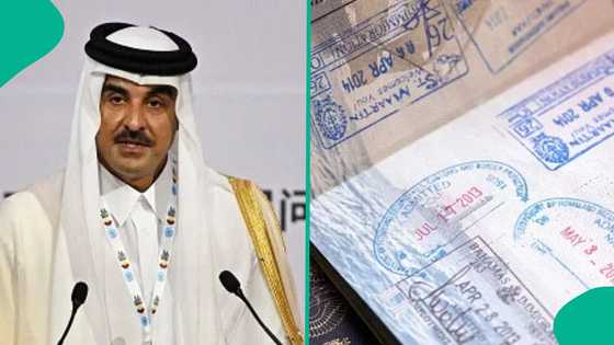 Qatar lists 3 conditions foreigners must meet to get visa with ETA