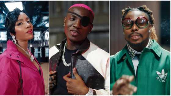 “I’m sorry for letting y'all Listen to so much noise this week,” Ruger trolls Asake, Tiwa Savage and Mavins
