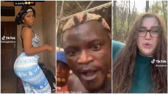 "I'm a baboon": Video of curvy lady, 2 other interesting times people danced to Portable's song