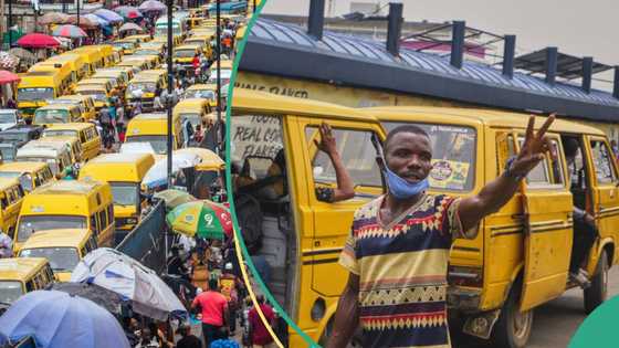 Anambra leads list of 10 states with highest fares as transport companies adjust prices