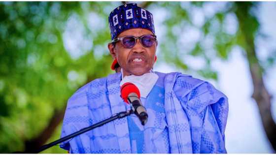 "Shocked by latest turn of events: Buhari expresses concern over ousted Nigerien president’s safety