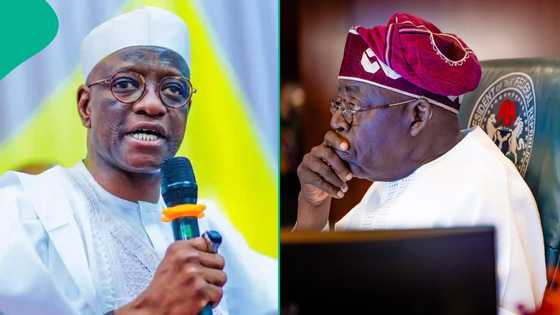 Nasarawa: Tinubu urged to call APC gov aspirant Senator Wadada to order as group gives reason