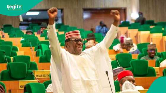 'Dan majalisar NNPP, Kofa ya fadi matsayarsa kan neman kujerar gwamnan Kano