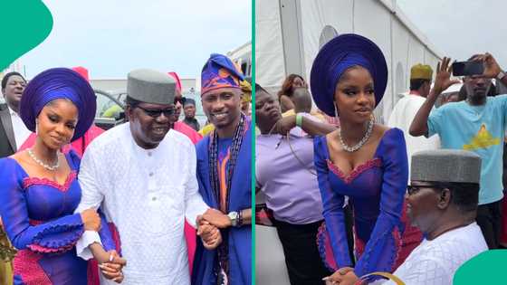 JP2025: Legendary star Ebenezer Obey storms Priscy and Juma Jux’s traditional wedding, videos trend