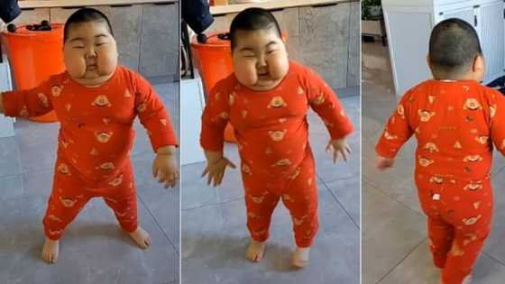 "Future soldier": Chubby toddler with fat cheeks dances and spins with energy, video stirs reactions