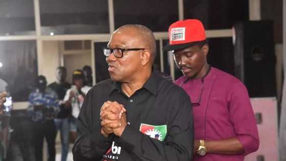 The winner of Anap Foundation’s polls is not Peter Obi: Here is why