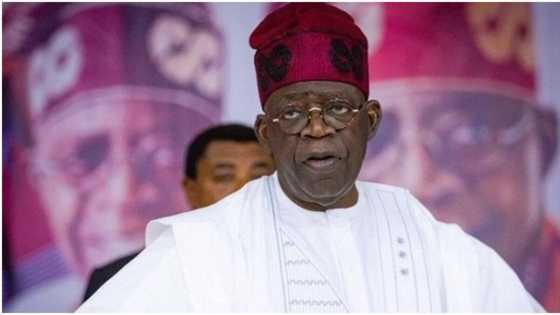 2023: Atiku, Obi in trouble as Tinubu meets farmers, agro commodity groups in prominent northern state