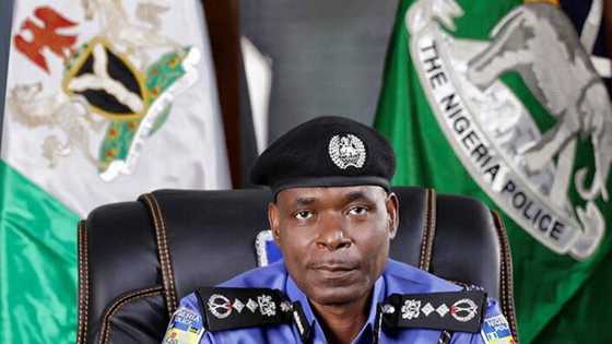 IGP Adamu taken to court over sack of pregnant female officer