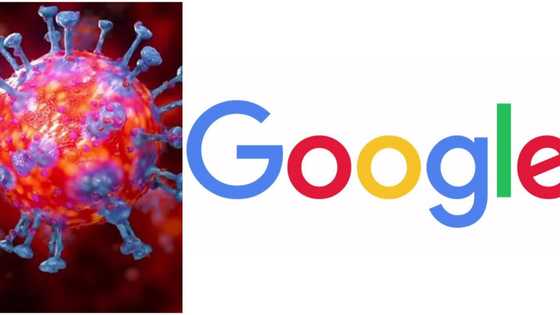 Africa Check receives funding from Google to counter COVID-19 vaccine misinformation