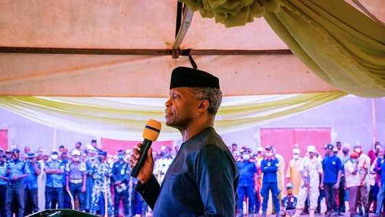 List: My life before 2015, what I would have ended up as if not for politics - Osinbajo