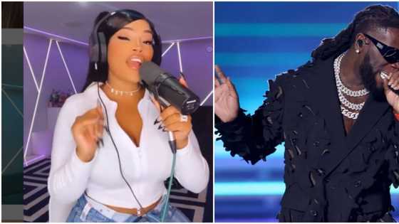 Shut up: Burna Boy's ex Stefflon Don sets to release diss reply to singer's Everybody Go Chop Breakfast song