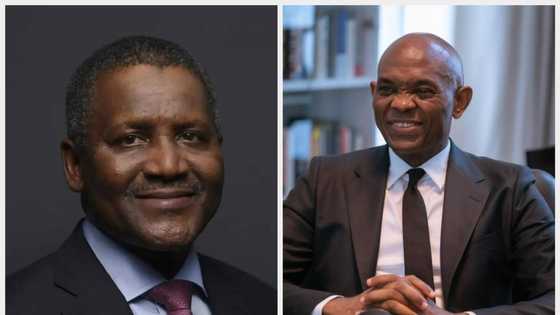 Dangote, Elumelu’s wealth soars N3.2bn in one day as UBA shares skyrocket to highest level in 2023