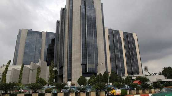 Full list: CBN restates ban on importers of 43 items from buying forex at official market rates