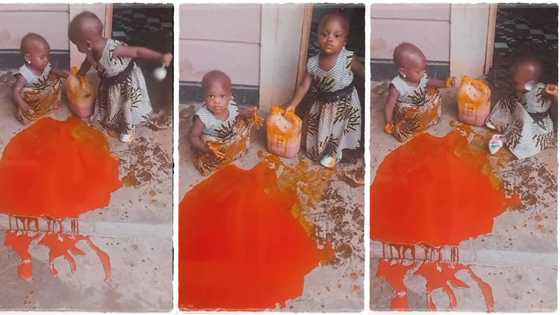 "2 soldiers in battlefield": Twin children spill their mother's gallon of palm oil, video goes viral on TikTok