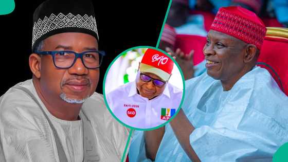 Jerin jihohin da APC, APGA da sauran jam'iyyu ke mulki gabanin zaben gwamnan Ekiti