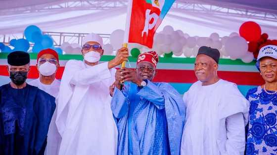 APC presidential ticket: Buhari congratulates Tinubu on landslide victory, sends important message