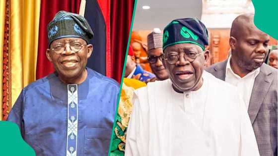 Insecurity in Nigeria: Fresh twist as NANS asks Tinubu to immediately sack Matawalle, “Breach of trust”