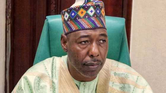 Zulum ya lashe kyautar gwarzon shugaba ta Zik