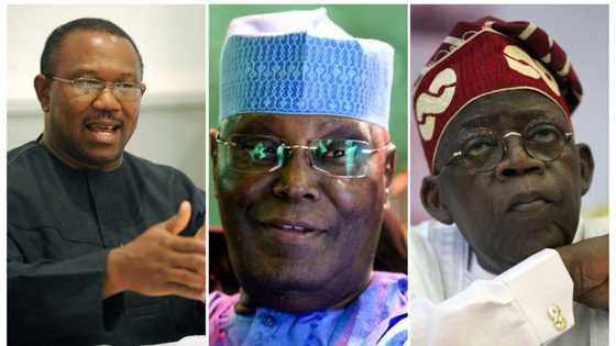 NFIU tracks over N150 trillion transactions as EFCC watches Obi, Atiku, Tinubu, others