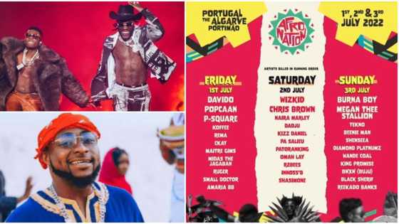 001: 'Proud' fans react as Davido gets to headline Afro Nation Fest in Portugal ahead of Wizkid & Burna Boy