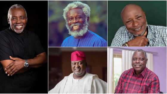 Olu Jacobs at 80: Akin Lewis, Tony Akposheri, other senior actors discuss experience with movie legend