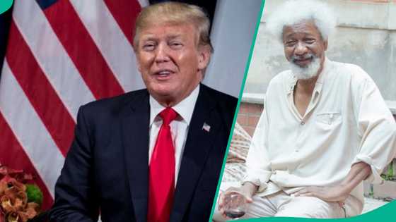 US government honours Nobel Laureate Wole Soyinka with new award, gives reason