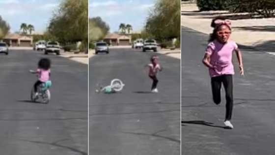 Little girl abandons her bicycle, runs to daddy after sighting bee, video stirs hilarious reactions