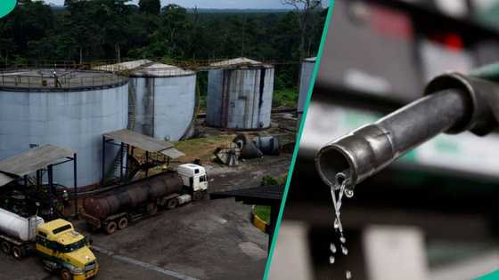 Private depots slash fuel prices, rival Dangote refinery for customers