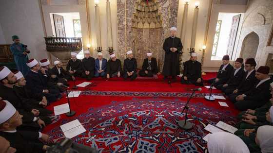 Mawlid al-Nabi: Video of How Muslims Around World Celebrate Prophet Mohammad's birth