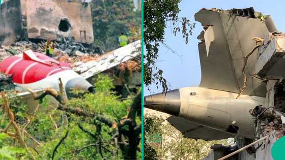 Air India: Family of medical student killed by plane crash gets N179m support fund, shares plans
