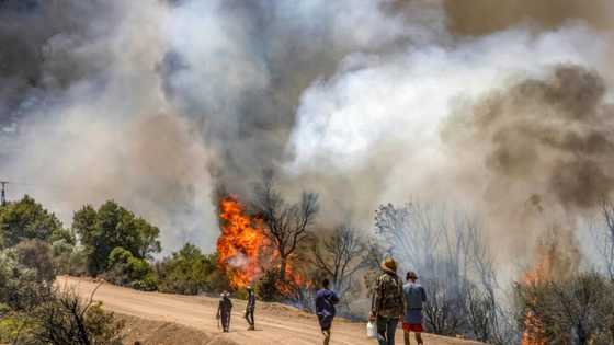 Morocco firefighters battle blazes as villagers flee