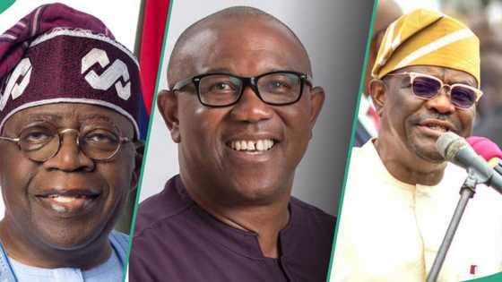 Year in review: List of most influential Nigerian politicians in 2023