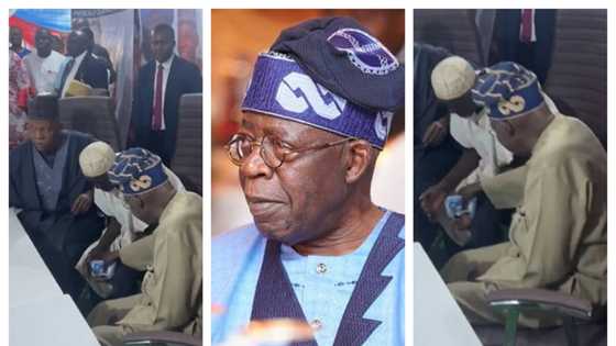 Rudani: Tinubu ya hada kura, bidiyo ya nuna lokacin da yake ba wani dattijo tsabar kudi