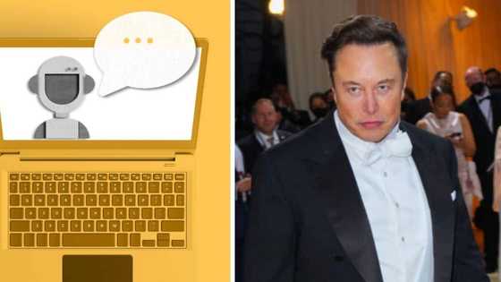 Explained: What bre Bots, and why are they delaying the Elon Musk's deal to buy Twitter for $44 billion?