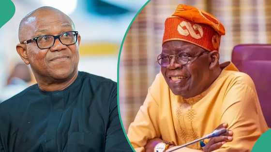Presidency reacts as Peter Obi endorses nationwide protest: “Do what Buhari did in the past”