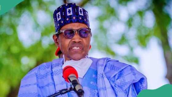 Masu zanga zanga sun dira gidan Buhari a Daura, bayanai sun fito daga Katsina