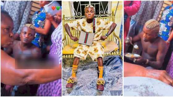 Portable Zazu gets kingly treat as older woman fans him while he eats in viral video, fans react