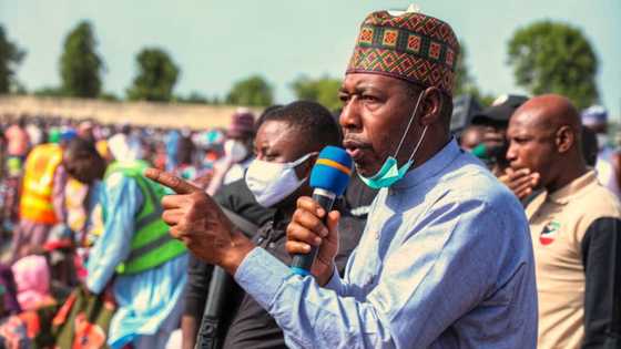 Dokar Hana Makiyaya Kiwo a Fili Ba Zata Yi Aiki Ba, Inji Gwamna Zulum, Ya Faɗi Dalili
