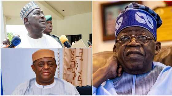 Finally, Fani-Kayode speaks on Muslim-Muslim ticket, knocks Babachir Lawal, defends Tinubu