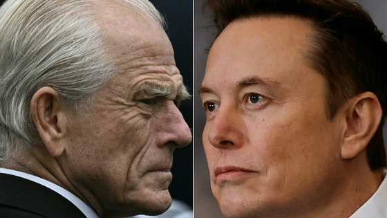 Trump advisor Navarro looks to cool spat with Musk