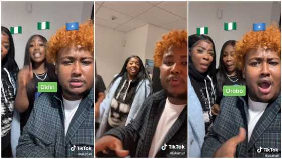 2 ladies 'teach' foreigner Yoruba, mislead him to describe himself with abusive words in funny video